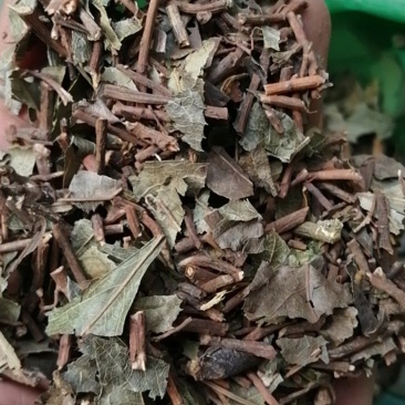 平地木矮地茶无硫干货不满意可退换货