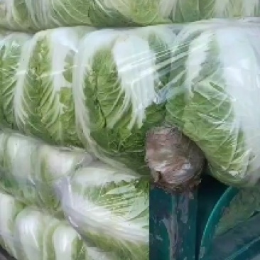 代购代销各种精品疏菜，需要的老板联系