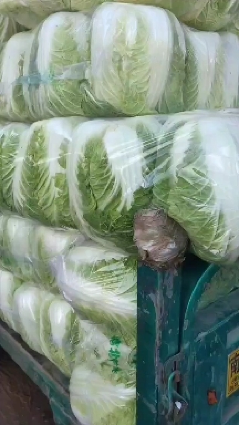 代购代销各种精品疏菜，需要的老板联系