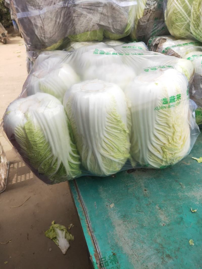 代购代销各种精品疏菜，需要的老板联系