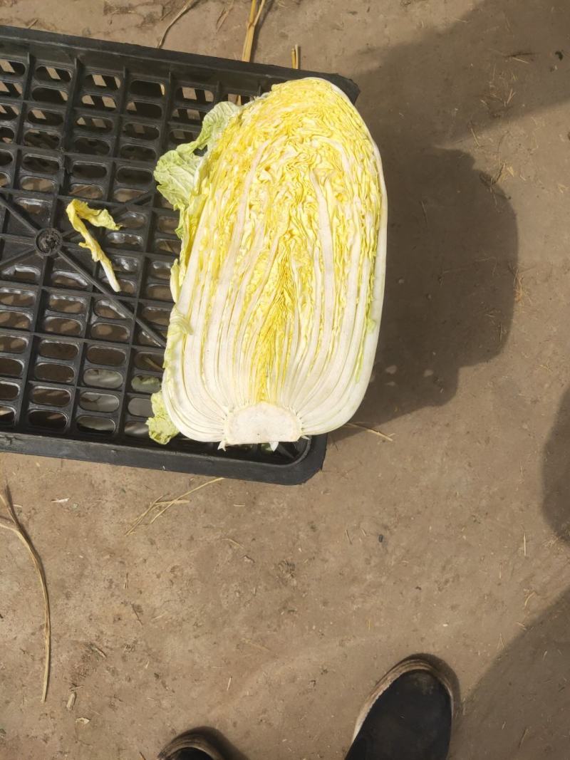 代购代销各种精品疏菜，需要的老板联系