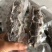 大连即食海参，各类规格大小都有，基地直供价格优惠