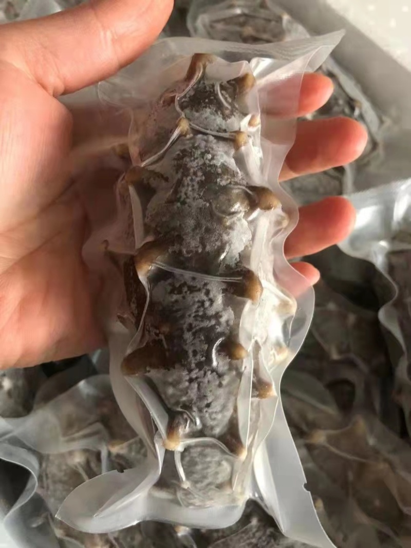 大连即食海参，各类规格大小都有，基地直供价格优惠
