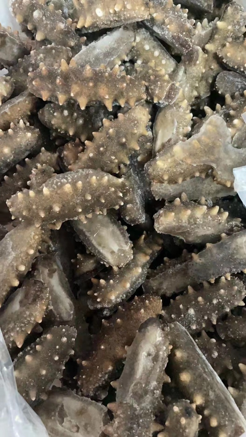 大连即食海参，各类规格大小都有，基地直供价格优惠