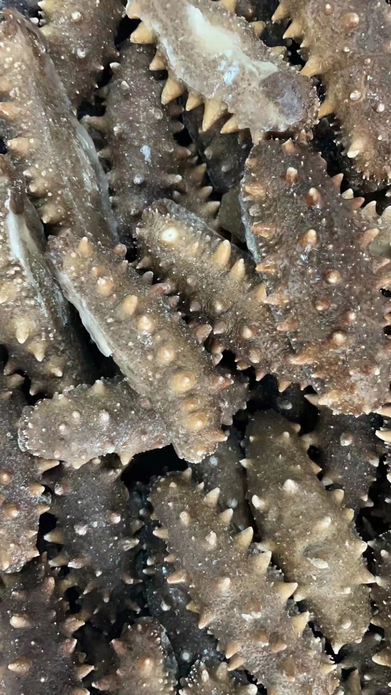 大连即食海参，各类规格大小都有，基地直供价格优惠