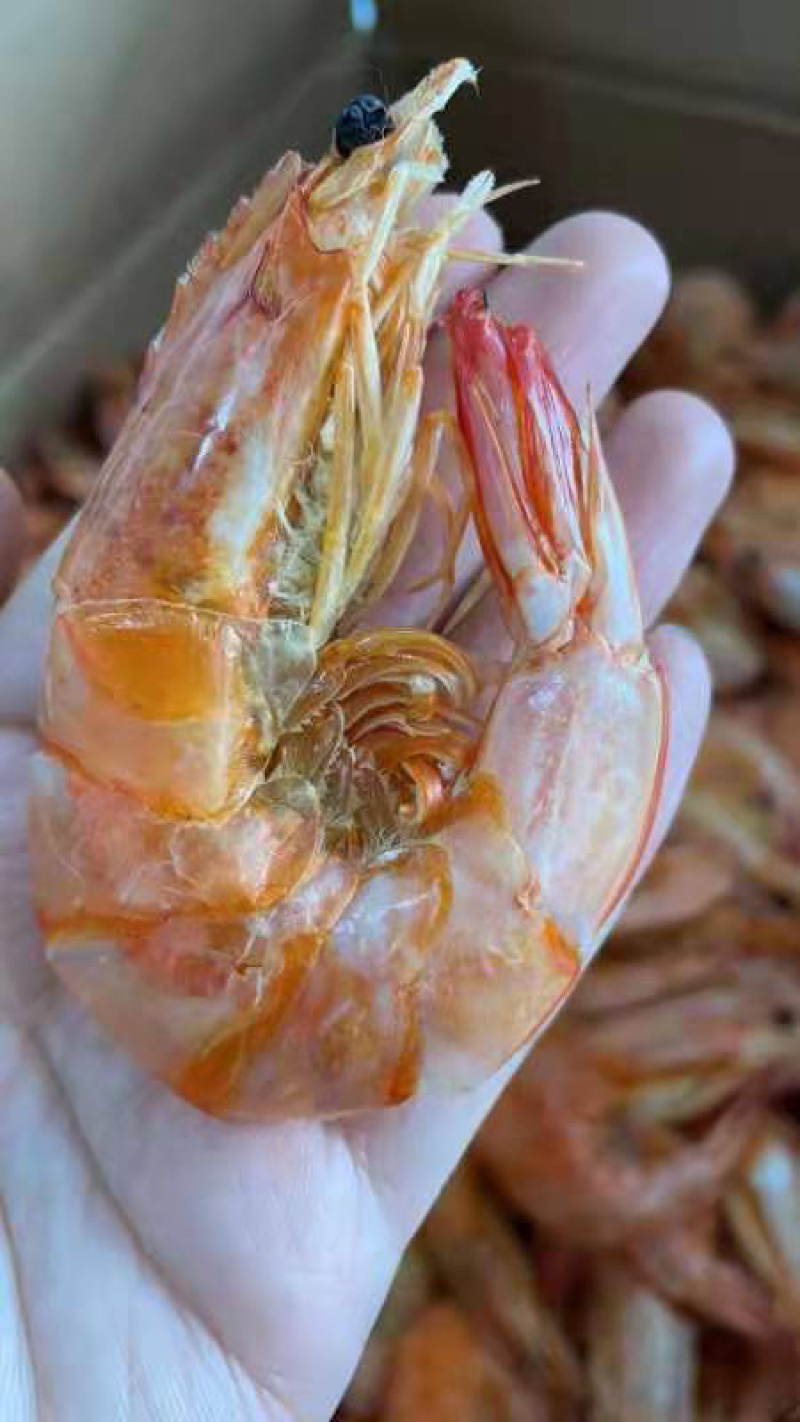 青岛海捕无盐淡干烤虾干虾孕妇补品整箱批一键代发包邮
