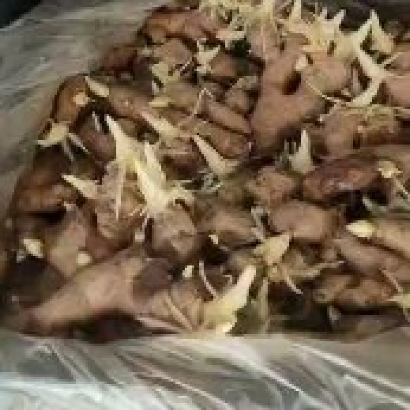 姜种山农一号高产王368二黄姜姜种出芽率高技术支持回收