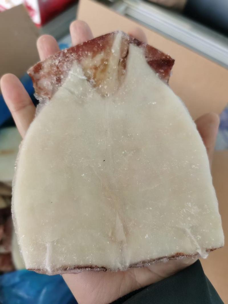 鲜冻鱿鱼干鱿鱼片去内脏单冻尤鱼火锅食材自助餐
