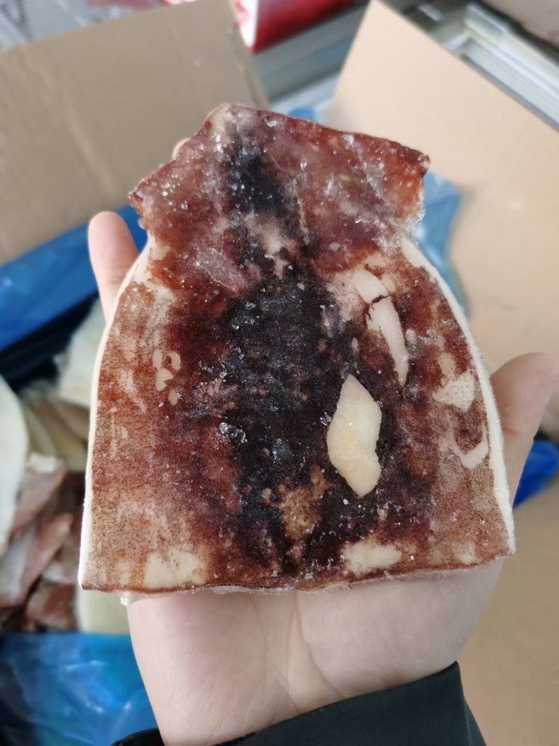 鲜冻鱿鱼干鱿鱼片去内脏单冻尤鱼火锅食材自助餐