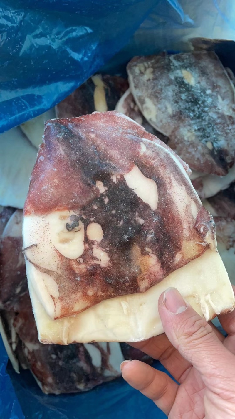 鲜冻鱿鱼干鱿鱼片去内脏单冻尤鱼火锅食材自助餐