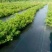 防草布农用除草布果园抗老化果树耐用地膜透气保湿园艺地布盖