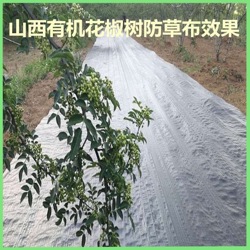 防草布农用除草布果园抗老化果树耐用地膜透气保湿园艺地布盖