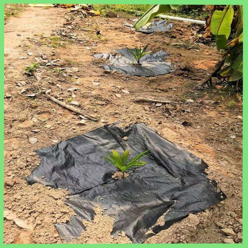防草布农用除草布果园抗老化果树耐用地膜透气保湿园艺地布盖