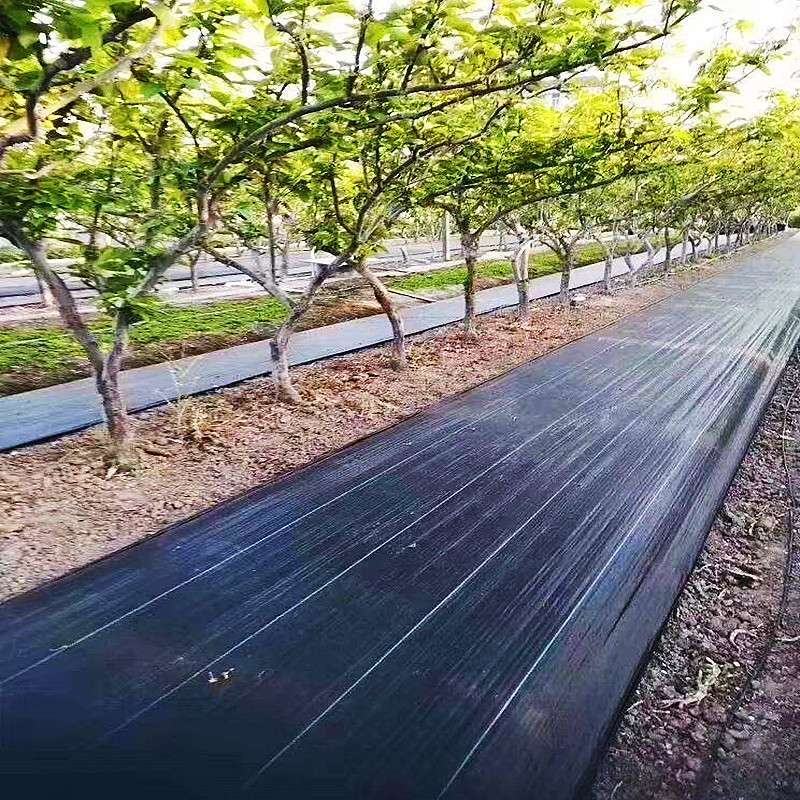防草布农用除草布果园抗老化果树耐用地膜透气保湿园艺地布盖