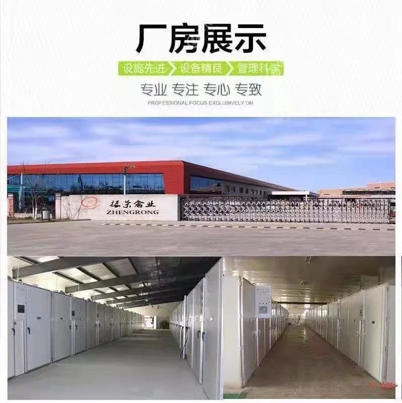 狮头鹅苗包防疫包运输包成活率货到满意付款一次合作终身朋友