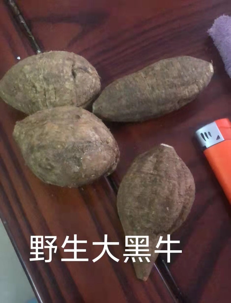 野生牛大力干片一手货源