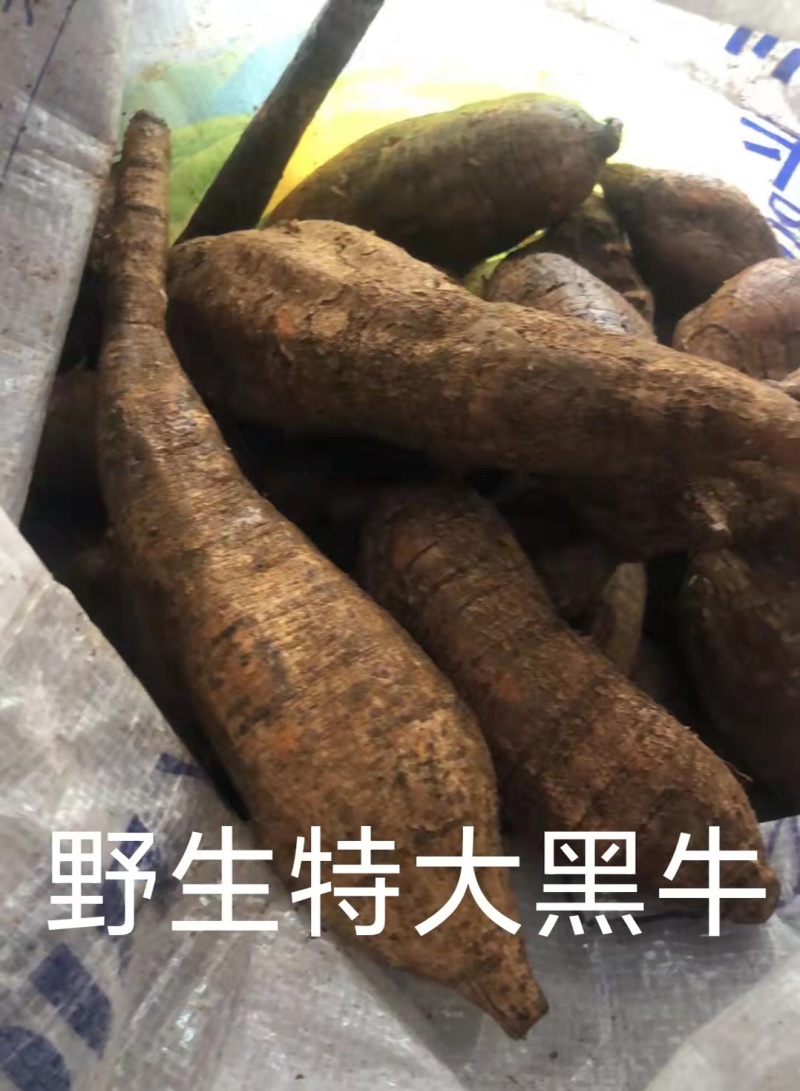 野生牛大力干片一手货源