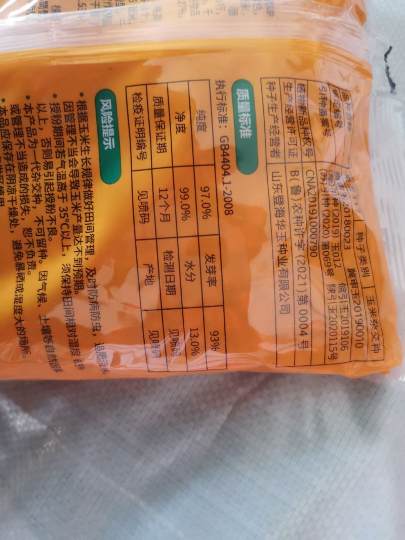 玉米种子来玉317，高抗病，高抗倒，深马齿，产量高！