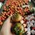 潍坊草莓西红柿全年供应，社区团购商超便利店，电商一件代发