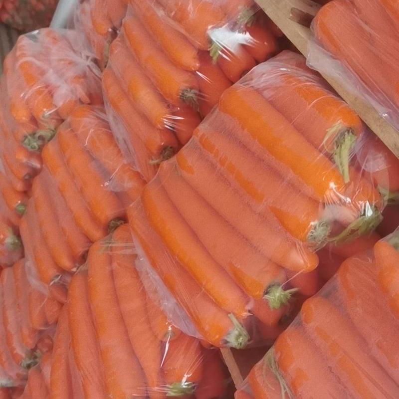 漳州精品胡萝卜，大量上市，带泥、水洗欢迎广大老板前采购！