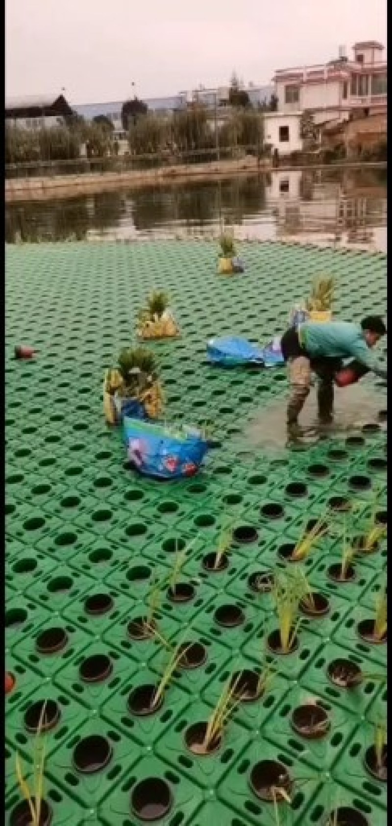 生态浮岛，净化水质，降低水中氮鏻钾含量，欢迎广大客户光顾
