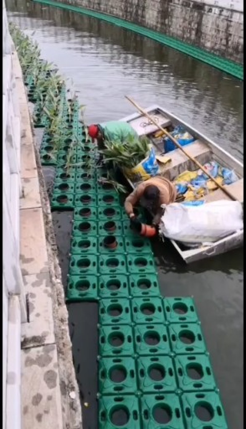 生态浮岛，净化水质，降低水中氮鏻钾含量，欢迎广大客户光顾