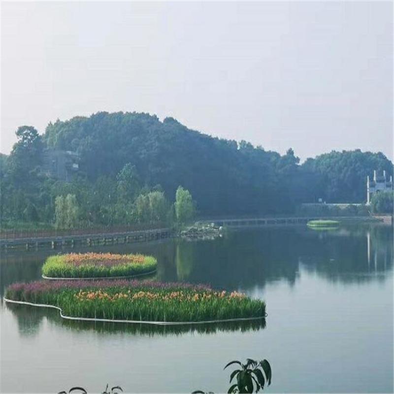 生态浮岛，净化水质，降低水中氮鏻钾含量，欢迎广大客户光顾