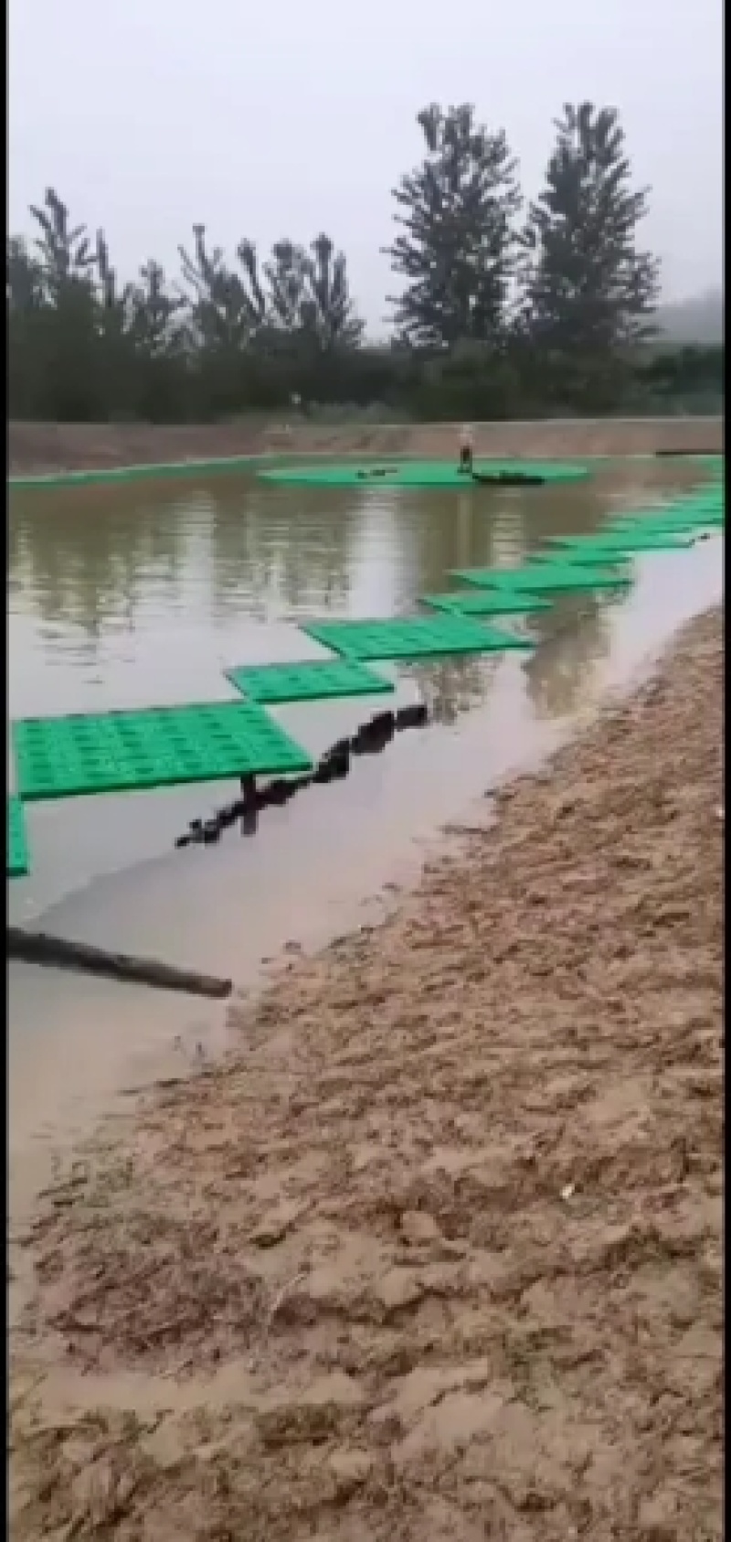 生态浮岛，净化水质，降低水中氮鏻钾含量，欢迎广大客户光顾