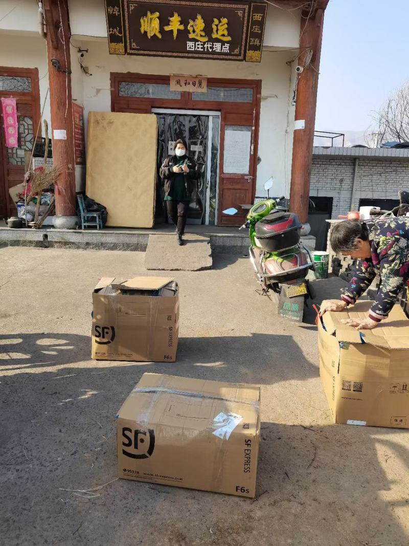 大红袍狮子头黄盖花椒苗
