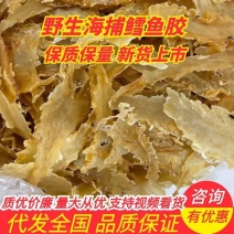 青岛海捕鳕鱼胶干货不掉称不腥肉厚质优价廉一键代发包邮