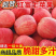 《推荐》万亩基地红富士苹果精品货源量大价优