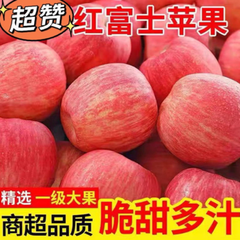 《推荐》万亩基地红富士苹果精品货源量大价优