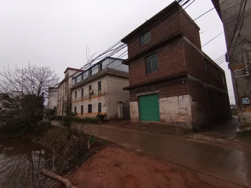 自有土地2000平米加新建房230平打包招租