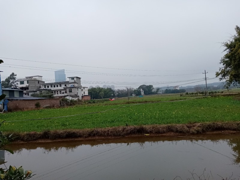 自有土地2000平米加新建房230平打包招租