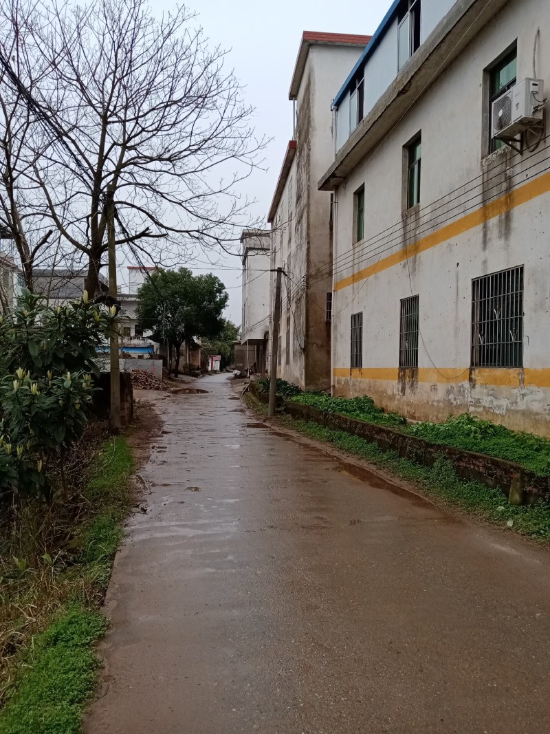 自有土地2000平米加新建房230平打包招租