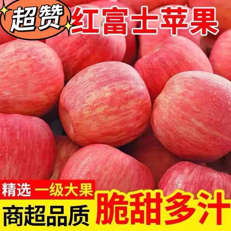 《推荐》万亩基地红富士苹果精品货源量大价优