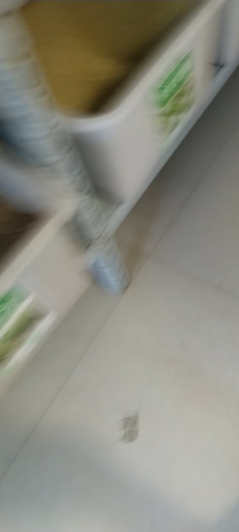 沙蒿籽沙蒿子沙蒿种子固沙牧草种籽草蒿荒地蒿荒漠蒿种子量大