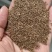 沙蒿籽沙蒿子沙蒿种子固沙牧草种籽草蒿荒地蒿荒漠蒿种子量大