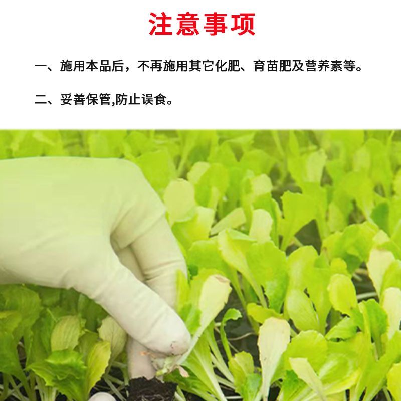 强旺育苗肥促生根茎根壮叶肥厚抗病害