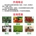 强旺育苗肥促生根茎根壮叶肥厚抗病害