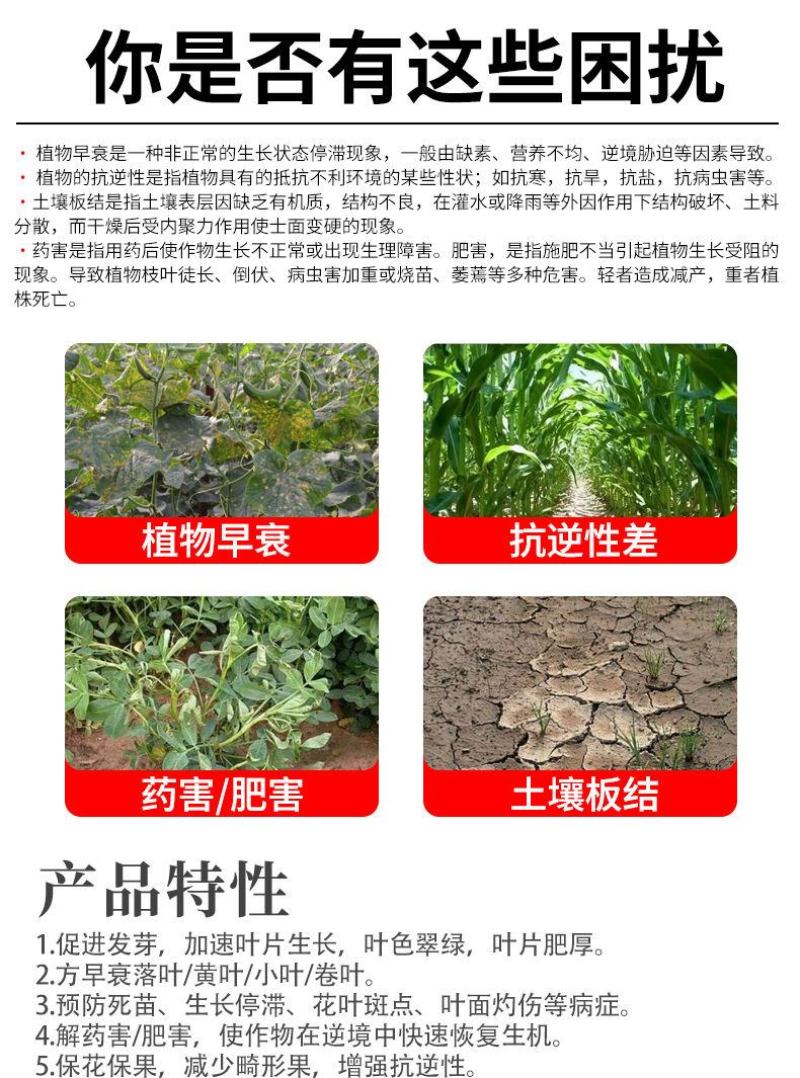 奥丰酶解鱼蛋白深海鱼小肽水溶肥料瓜果树蔬菜冲施肥叶面肥桶