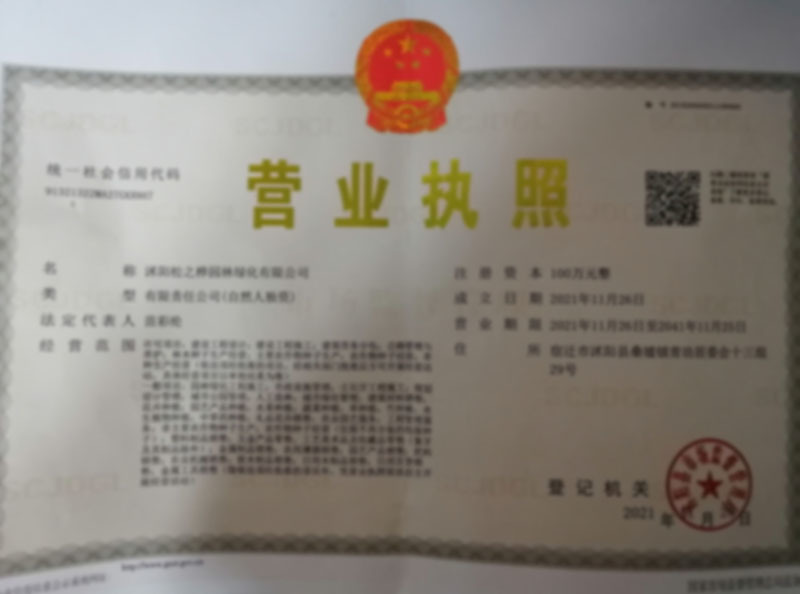 高羊茅种子进口优质草坪种子耐践踏免修剪四季常青量大优惠