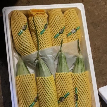 云南羊角蜜更更香更甜