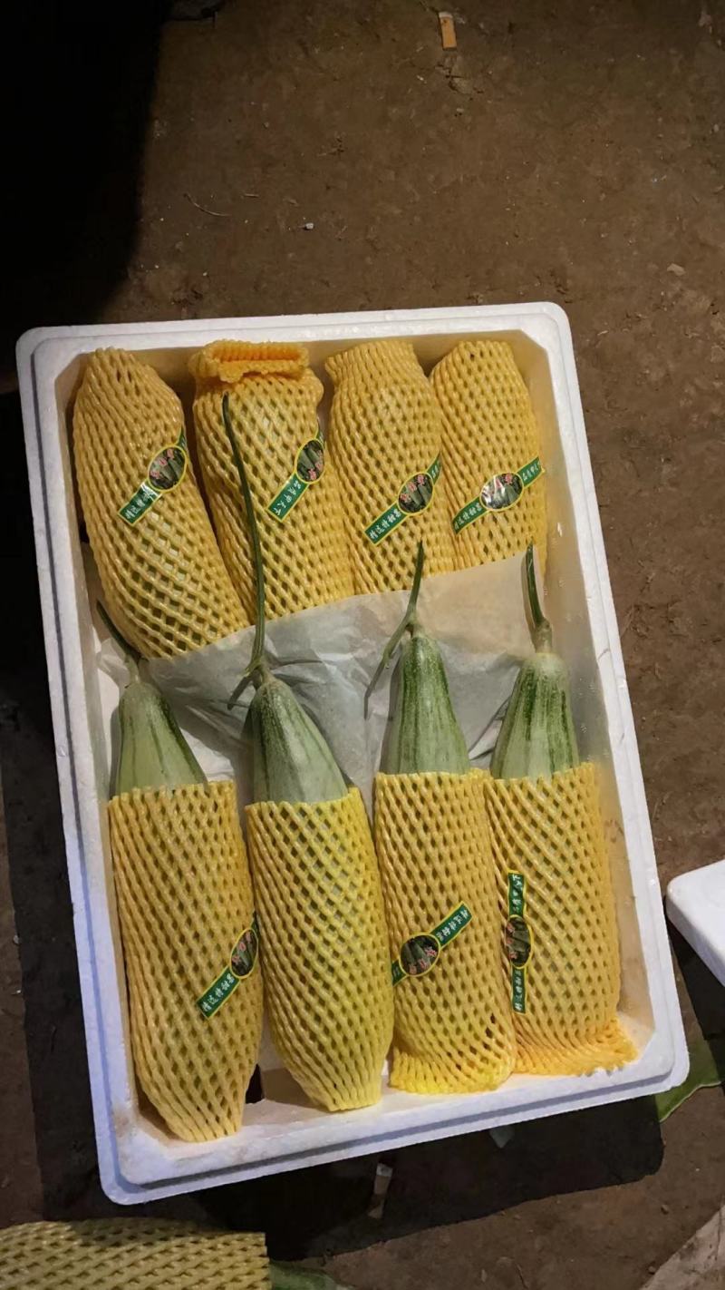 云南羊角蜜更更香更甜