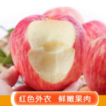 《优选》红富士苹果精品红富士苹果脆甜好吃红富士苹果产地