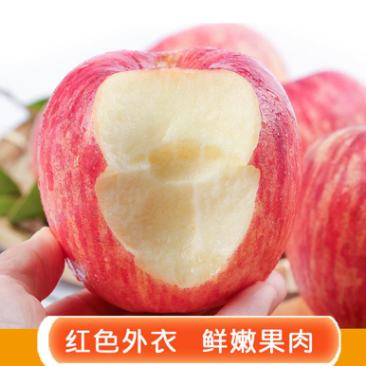 （精品）红富士苹果，注重口感与品质，脆甜可口，不打农药