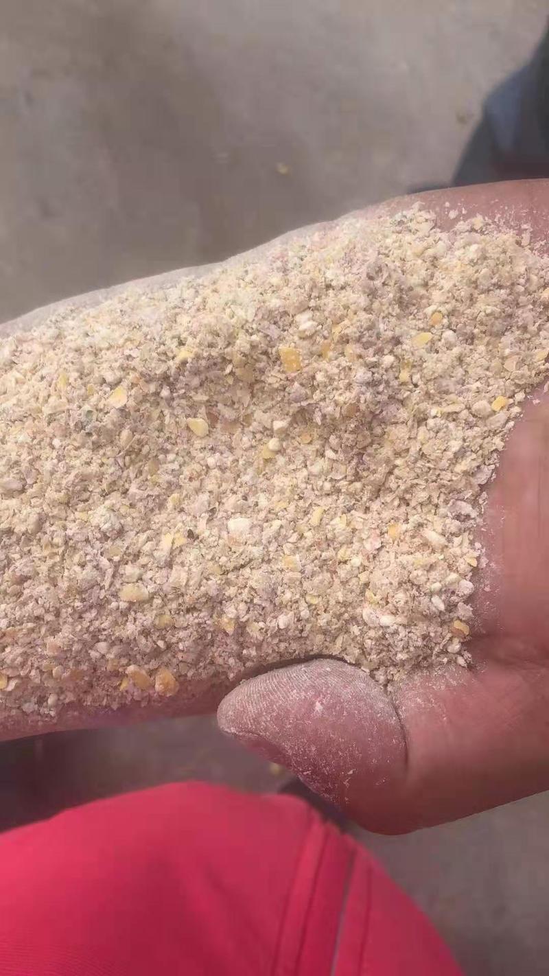 玉米次粉大型食品厂下料，营养丰富代替玉米使用