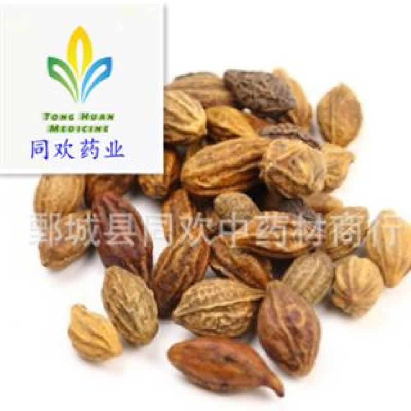 【诃子】@【同欢药材】中药材批发供应规格齐全量大从优
