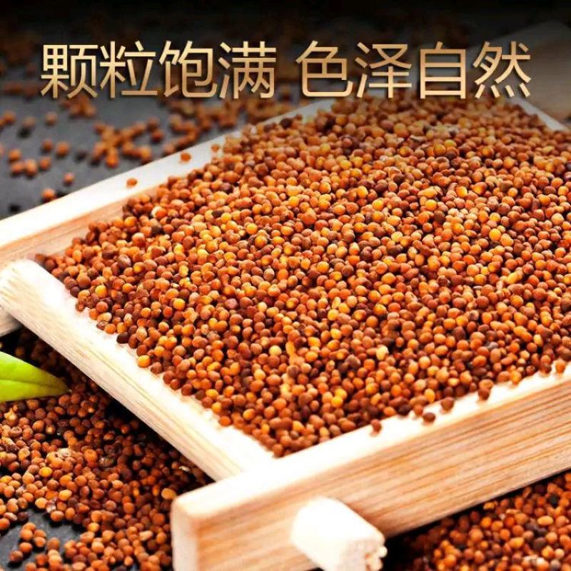 菟丝子精统货产地内蒙,产地直供，质优价实，品质保证，药