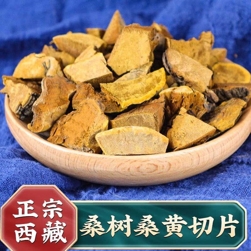正品桑黄西藏野生特桑树金边桑黄正品特大野生藏桑黄